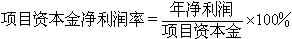 項(xiàng)目資本金凈利潤(rùn)率