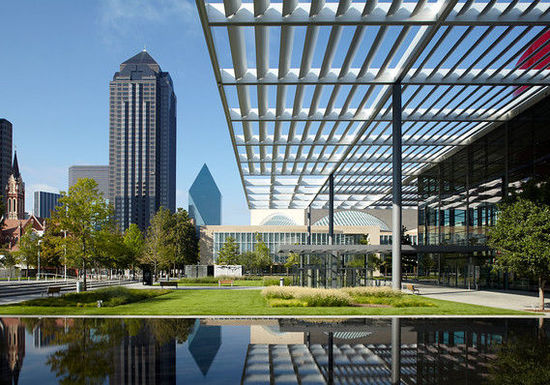 ˾ӵ10СDallas