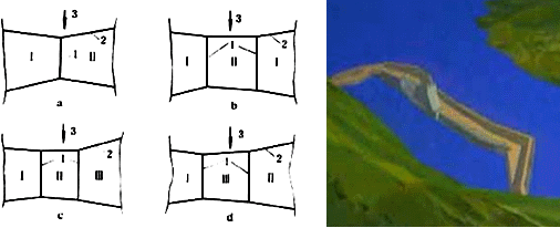 二級建造師水利實務知識點:導流方法