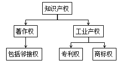 知識(shí)點(diǎn)權(quán)的常見(jiàn)種類